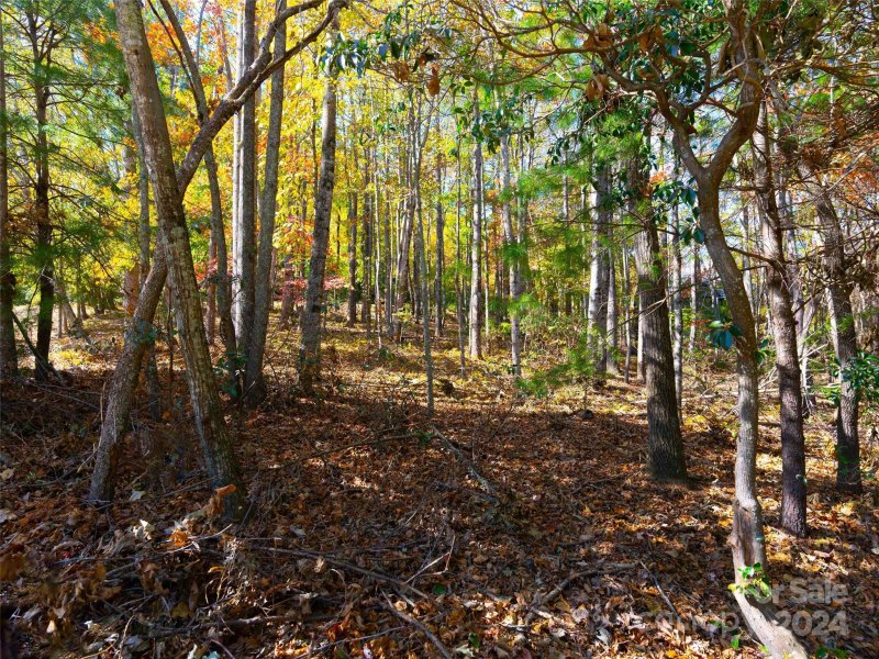 Property image 5 of 308 Piney Knoll Lane in Champion Hills, Hendersonville, NC 28739