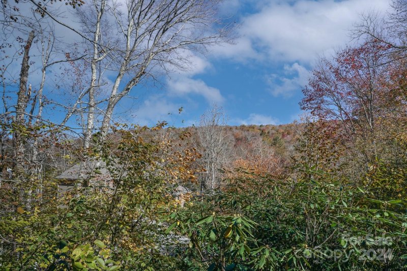 Property image 3 at 219 Greenbriar Road, Beech Mountain, NC 28604