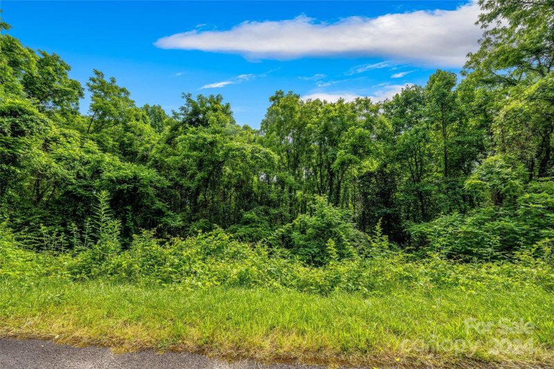 Property image 4 at 9999 Jubilee Way, Waynesville, NC 28785