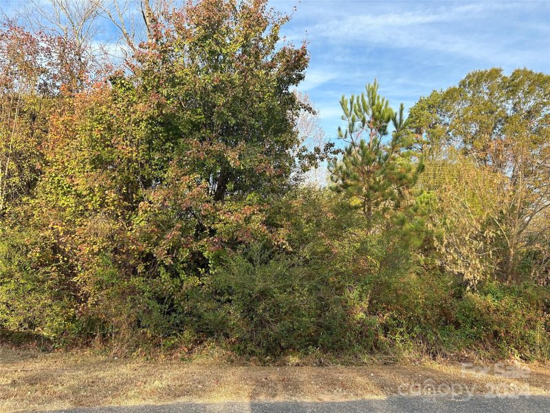 Lots 4 And 5 Poplar Circle