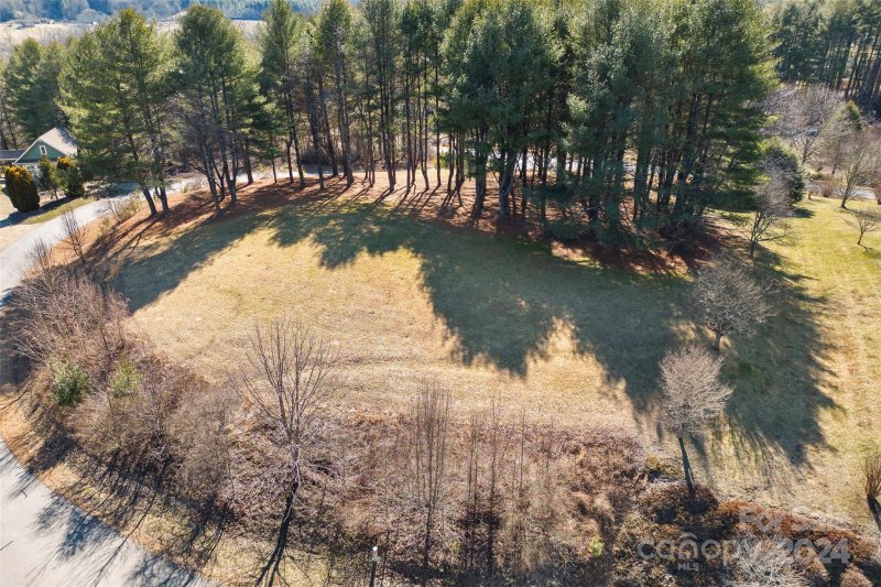 Property image 3 at Lot 33 Dover Lane, Brevard, NC 28712