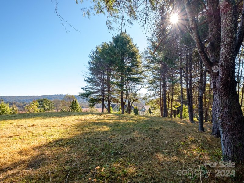 Property image 5 at Lot 33 Dover Lane, Brevard, NC 28712