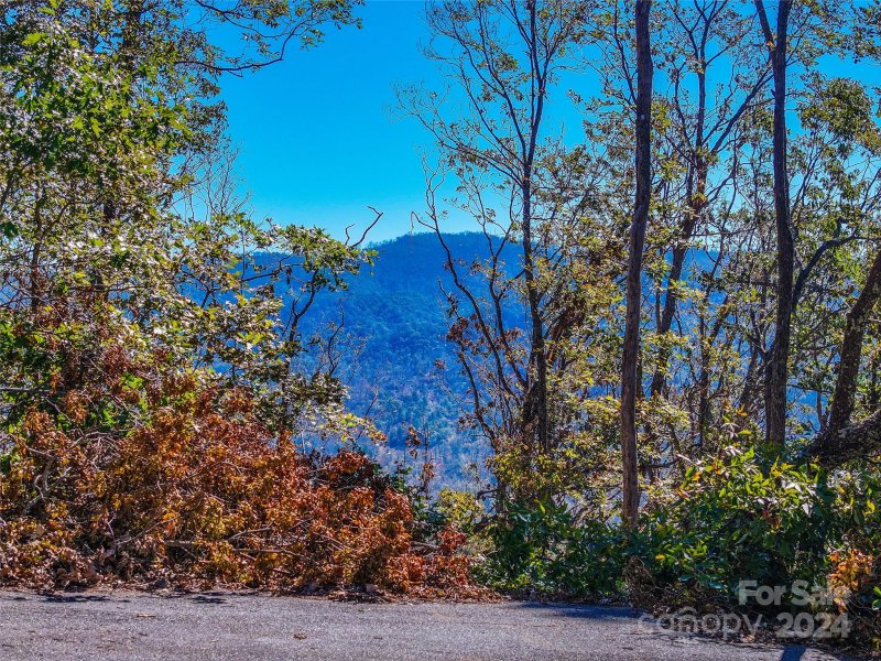 Property image 2 of Lots 2 135 And Pt 136 High Bluff Drive in Reems Creek Golf Community, Weaverville, NC 28787