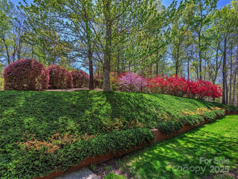 Property image 3 at 121 Canoe Drive, Mill Spring, NC 28756