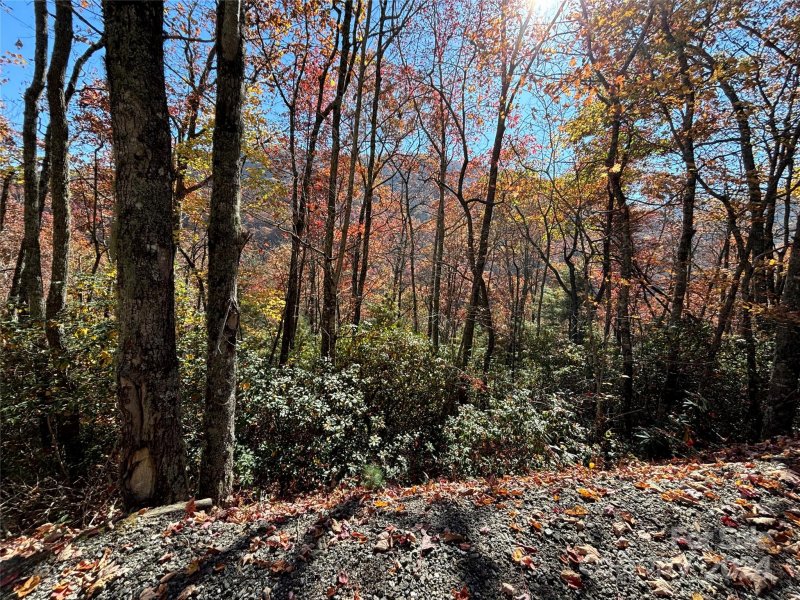 Property image 3 of Lot 33 Coppermine Ridge in Coppermine Ridge, Whittier, NC 28789