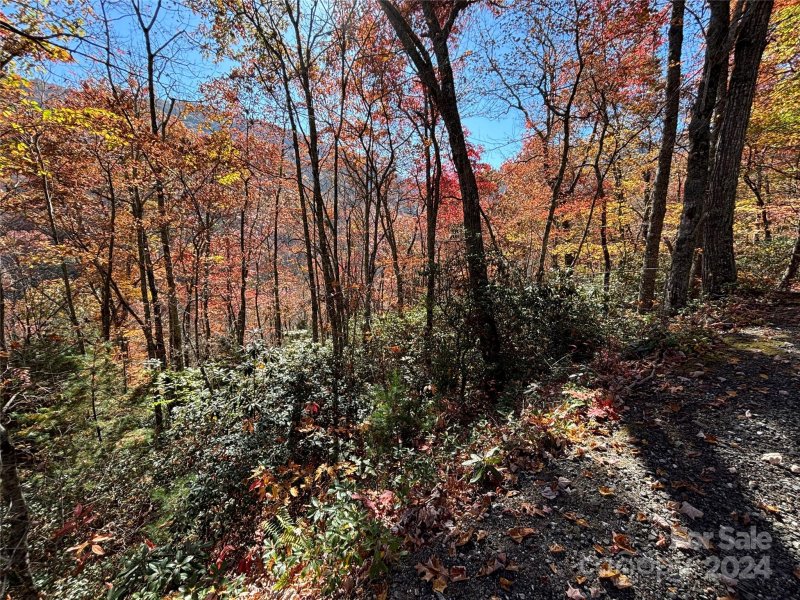 Property image 5 of Lot 33 Coppermine Ridge in Coppermine Ridge, Whittier, NC 28789