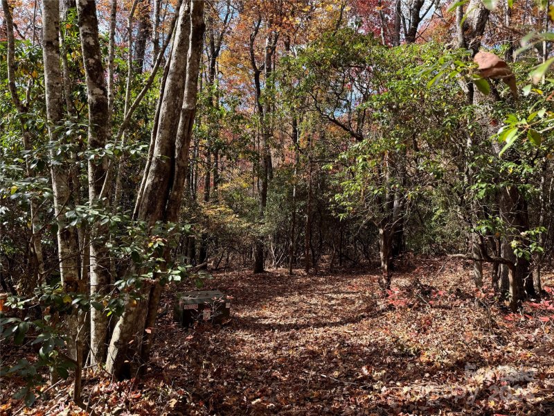 Property image 3 at U02 L340 Salola Lane, Brevard, NC 28712