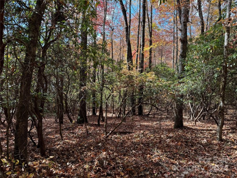 Property image 4 at U02 L340 Salola Lane, Brevard, NC 28712