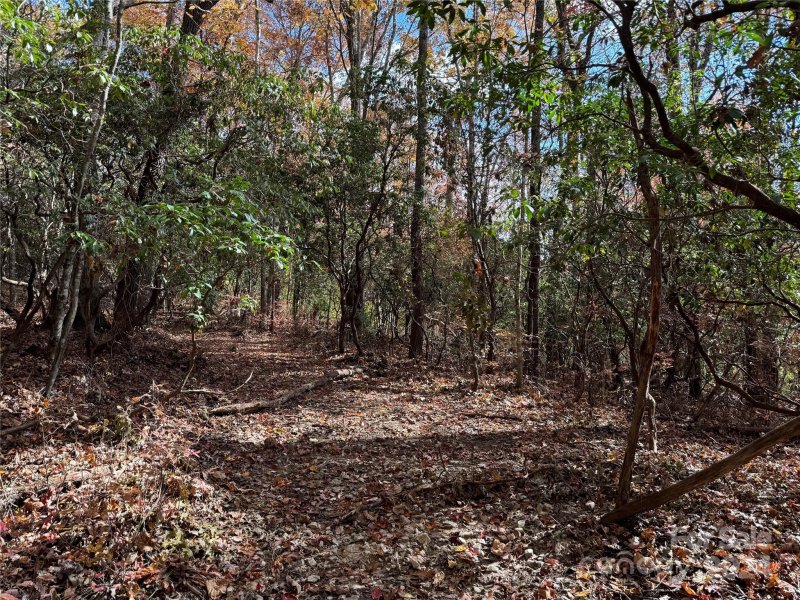 Property image 5 at U02 L340 Salola Lane, Brevard, NC 28712