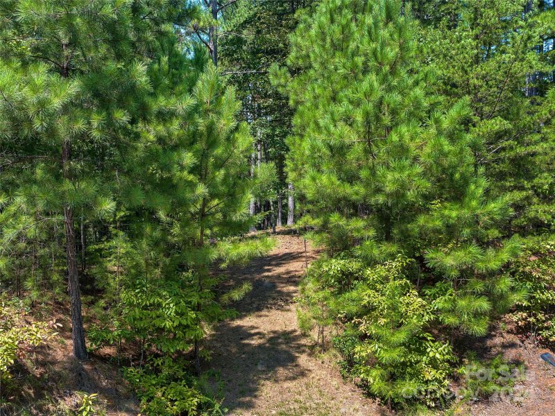 Property image 3 at 00 River Park Lane, Mill Spring, NC 28756