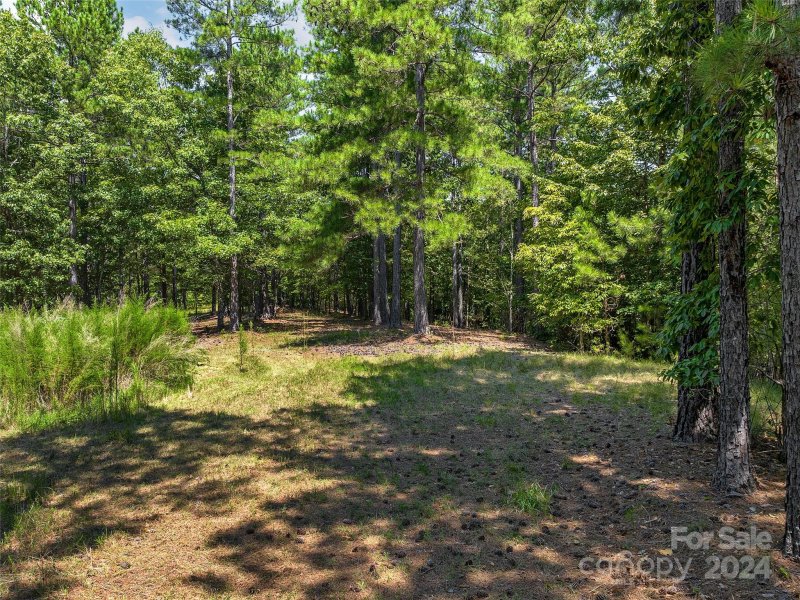 Property image 5 at 00 River Park Lane, Mill Spring, NC 28756