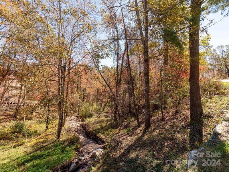 Property image 5 of 0 Grand Highland Drive in Grand Highlands at Bearwallow, Hendersonville, NC 28792