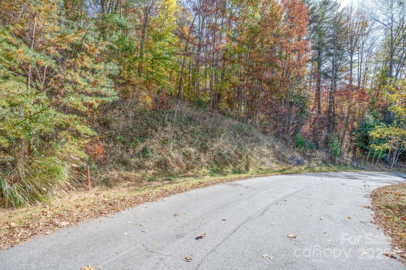 Property image 5 of 66 Hawtree Court in Reems Creek Golf Community, Weaverville, NC 28787