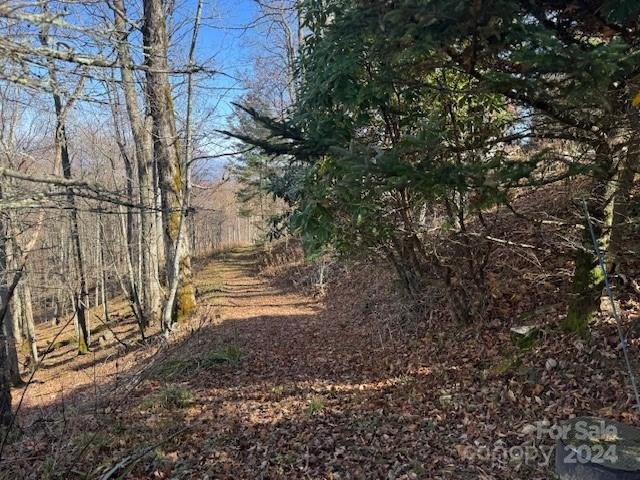 Property image 5 of 962 Lookout Drive in Wolf Laurel, Mars Hill, NC 28754