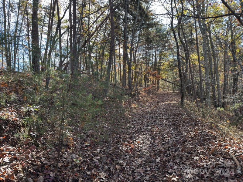 Property image 3 of 27 Mountain Lookout Drive in Golden Valley Estates, Bostic, NC 28018