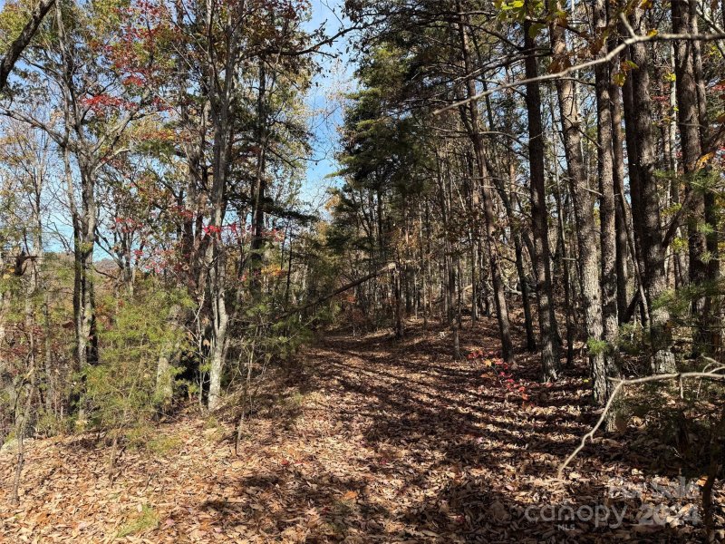 Property image 4 of 27 Mountain Lookout Drive in Golden Valley Estates, Bostic, NC 28018