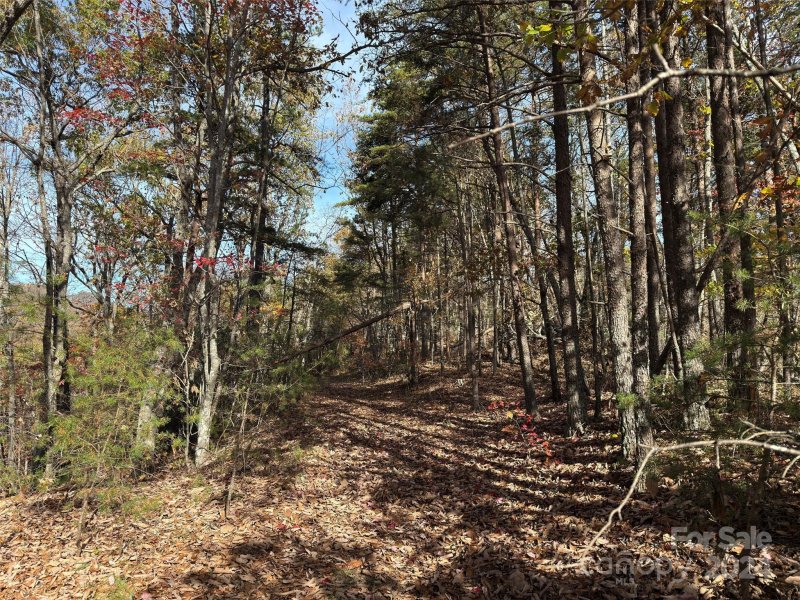 Property image 5 of 27 Mountain Lookout Drive in Golden Valley Estates, Bostic, NC 28018