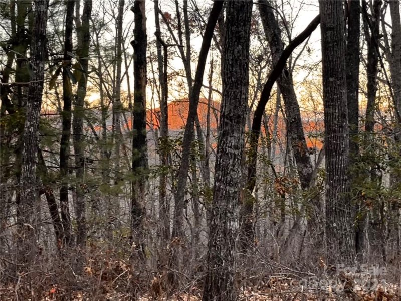 Property image 3 at L011 Frazier Road, Brevard, NC 28712