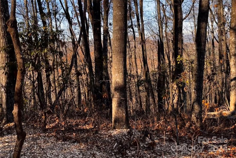 Property image 4 at L011 Frazier Road, Brevard, NC 28712