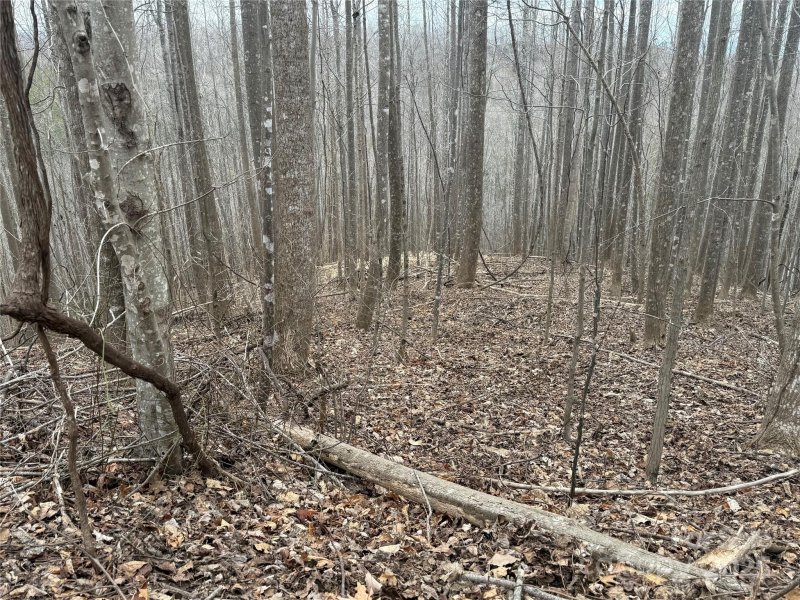 Property image 2 at V L Jeremy Drive, Nebo, NC 28761