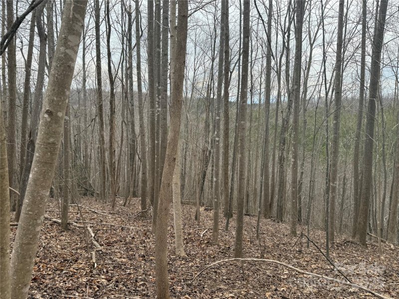 Property image 4 at V L Jeremy Drive, Nebo, NC 28761