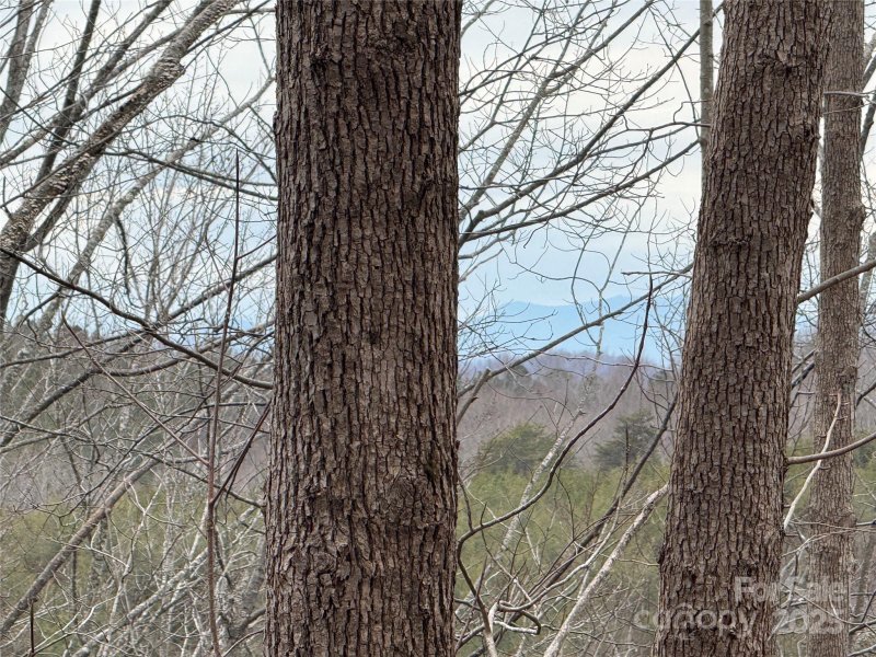 Property image 5 at V L Jeremy Drive, Nebo, NC 28761