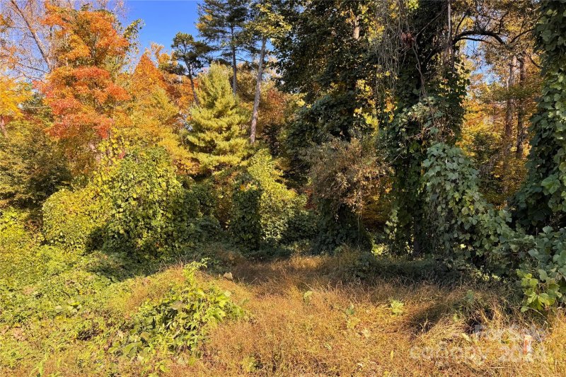 Property image 4 at 5696 Gold Creek Bay Drive, Hickory, NC 28601