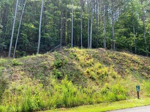 Property image 3 of 200 W Settings Boulevard in Lake Rhodhiss Estates, Valdese, NC 28655