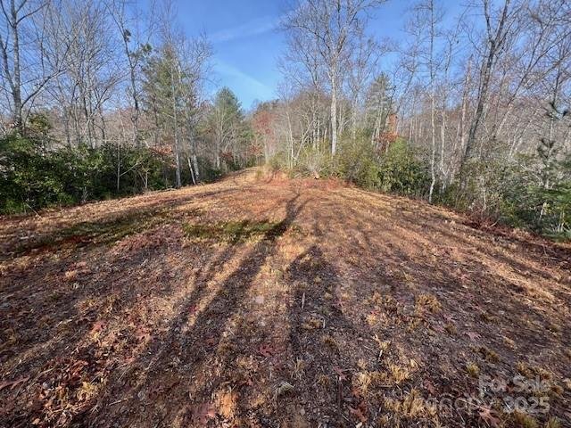 Property image 2 of Lot 2 Tobacco Branch Road in Smoky Mountain Sanctuary, Almond, NC 28702