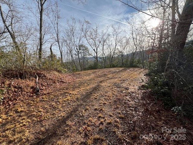 Property image 3 of Lot 2 Tobacco Branch Road in Smoky Mountain Sanctuary, Almond, NC 28702