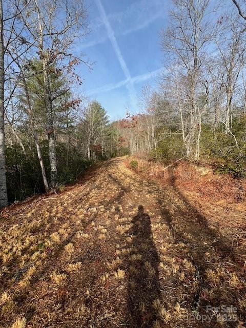 Property image 4 of Lot 2 Tobacco Branch Road in Smoky Mountain Sanctuary, Almond, NC 28702