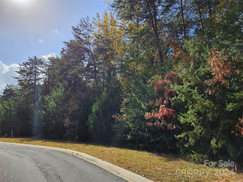 Property image 4 at 1029 Glade Spring Court, Belmont, NC 28012