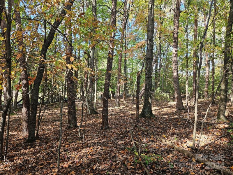 Property image 5 at 1029 Glade Spring Court, Belmont, NC 28012