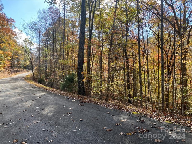 Property image 5 at Lot 15 Song Sparrow Drive, Marion, NC 28752