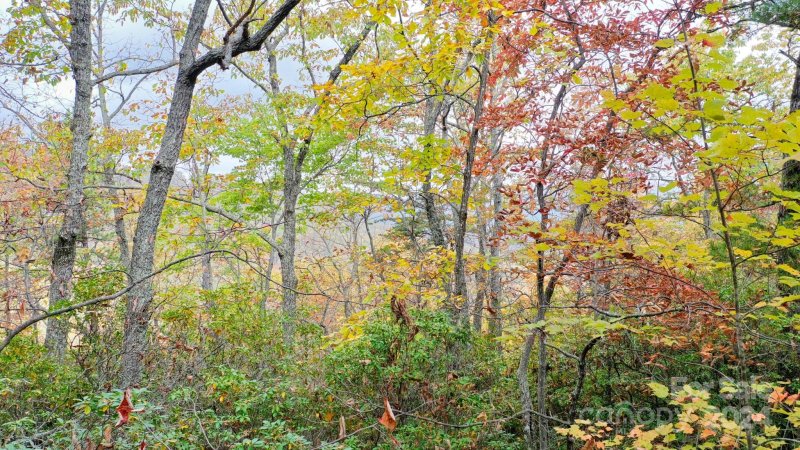 Property image 5 at 00 Mountain Lookout Drive, Bostic, NC 28018