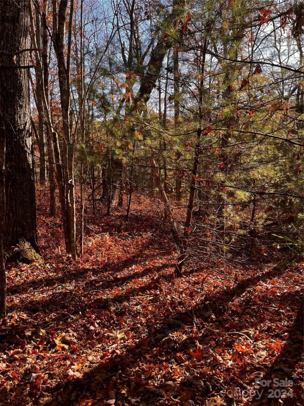 Property image 2 at 24 Black Oak Court, Brevard, NC 28712