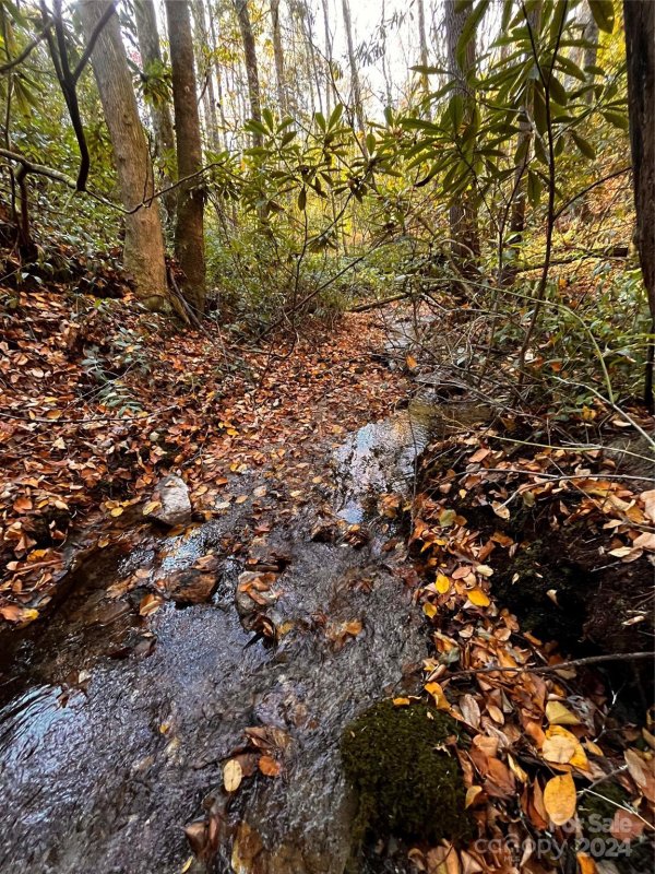 Property image 5 at 24 Black Oak Court, Brevard, NC 28712