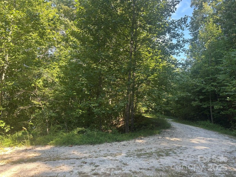 Property image 2 at 9999 N Woodchuck Lane, Marion, NC 28752