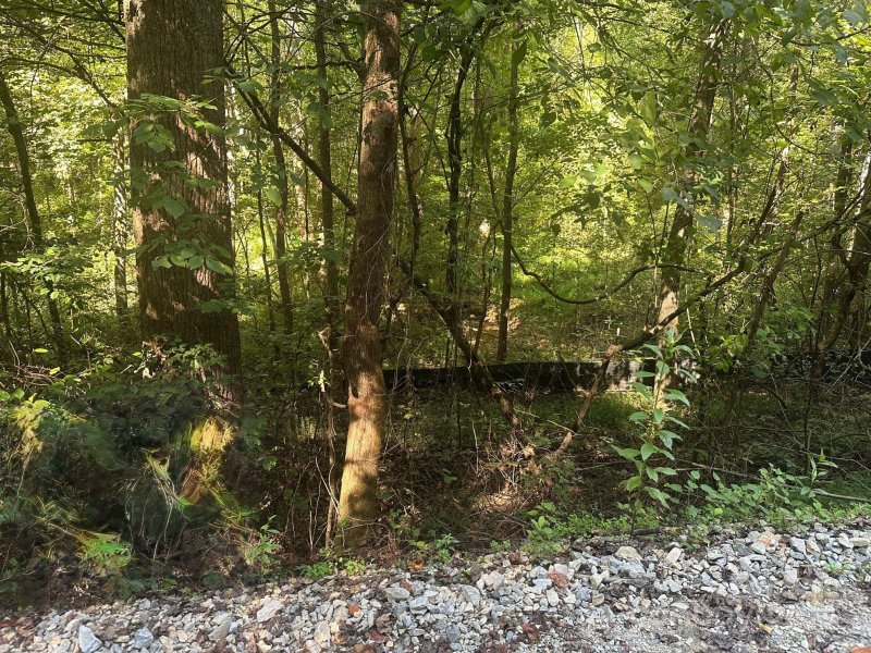 Property image 3 at 9999 N Woodchuck Lane, Marion, NC 28752