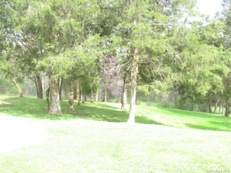 Property image 3 at 1156 Brook Path Trail, Denver, NC 28037