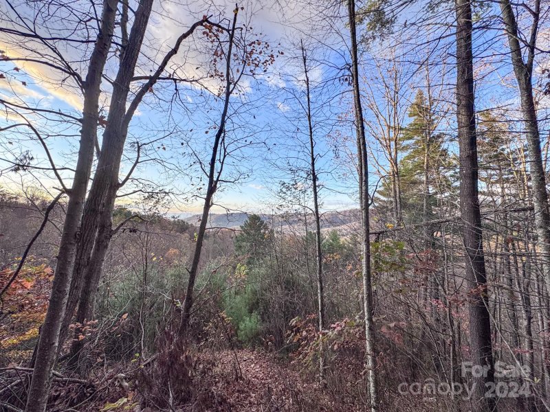 Property image 2 of 55 Bartrams Walk Drive in Town Mountain Preserve, Asheville, NC 28804