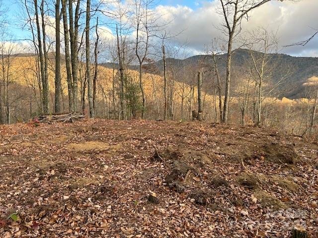 Property image 3 at Lt 19 Catawba Ridge, Maggie Valley, NC 28751
