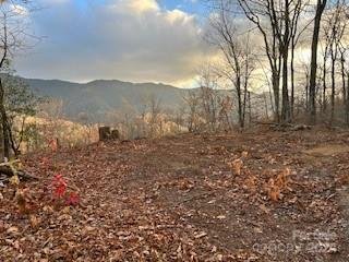 Property image 4 at Lt 19 Catawba Ridge, Maggie Valley, NC 28751