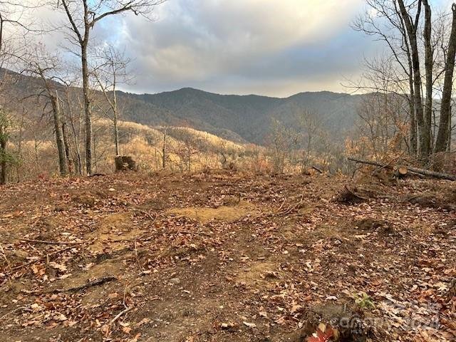 Property image 5 at Lt 19 Catawba Ridge, Maggie Valley, NC 28751