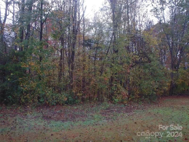 Property image 4 at 0000 Sawtooth Lane, Stanley, NC 28164