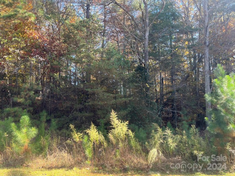 Property image 4 at 5668 Marblestone Drive, Granite Falls, NC 28630