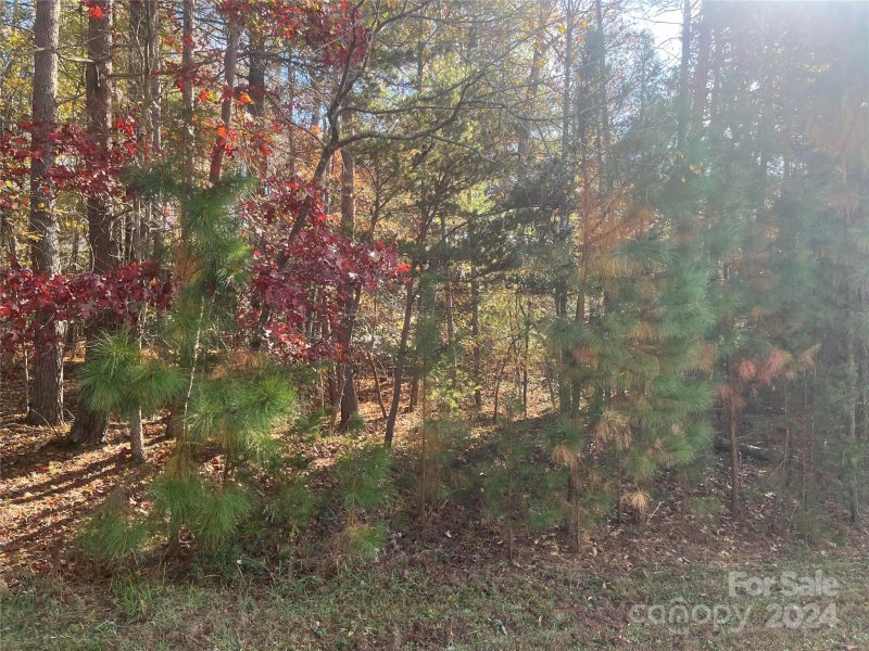 Property image 3 at 5660 Marblestone Drive, Granite Falls, NC 28630