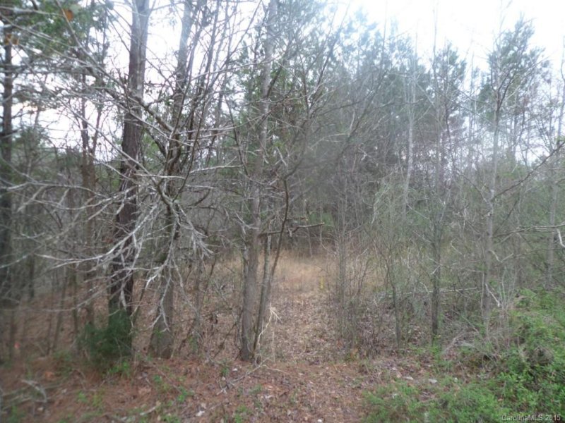 Property image 2 at 5045 Stockbridge Drive, Mount Holly, NC 28120