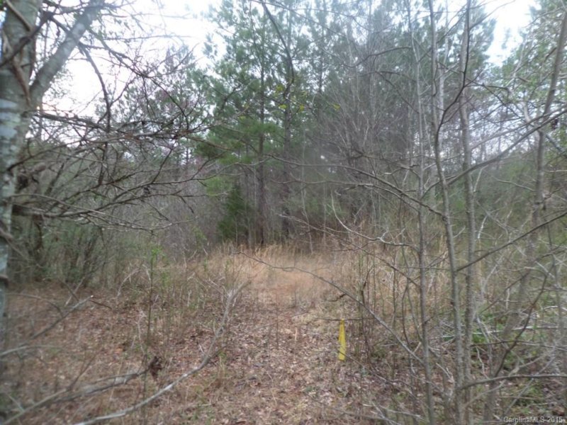 Property image 3 at 5045 Stockbridge Drive, Mount Holly, NC 28120