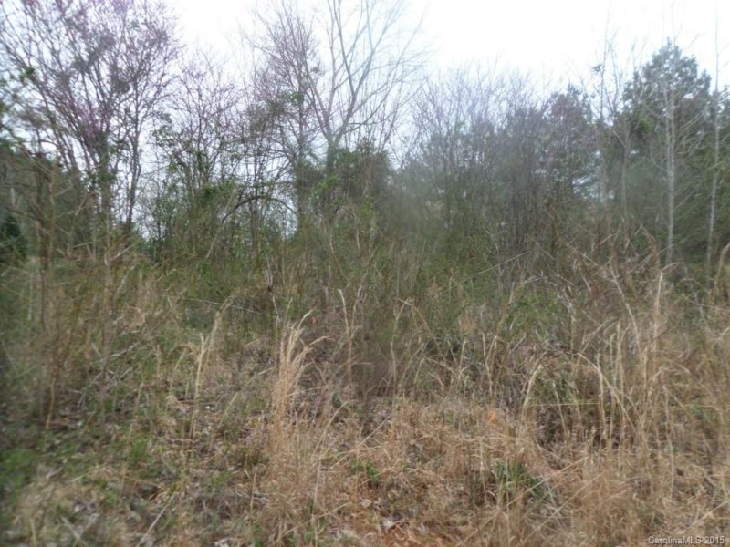 Property image 4 at 5045 Stockbridge Drive, Mount Holly, NC 28120